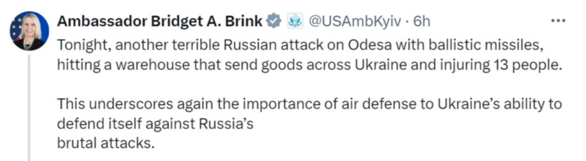 usa_ambassador