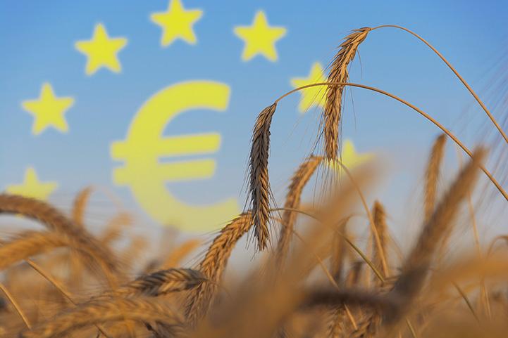 La privatizzazione del cibo, così ci nutrono le multinazionali: per il loro bene