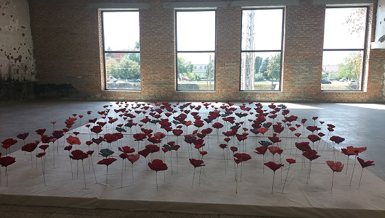 Beslan “la Città degli Angeli” commemora i vent’anni dalla strage Beslan “la Città degli Angeli” commemora i vent’anni dalla strage