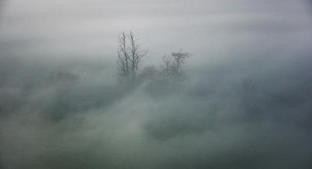 Ogni giorno 40 morti "improvvisi" ma va tutto bene, Sinner ha vinto ancora