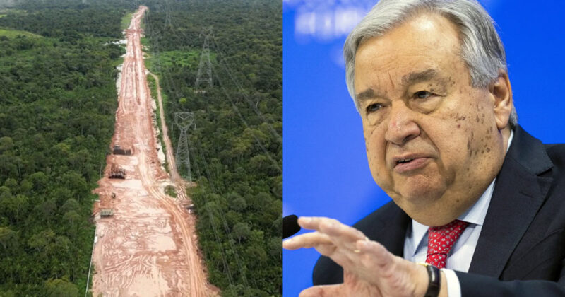 I globalisti abbattono decine di migliaia di ettari di foresta amazzonica per fare spazio al vertice sul 'cambiamento climatico'