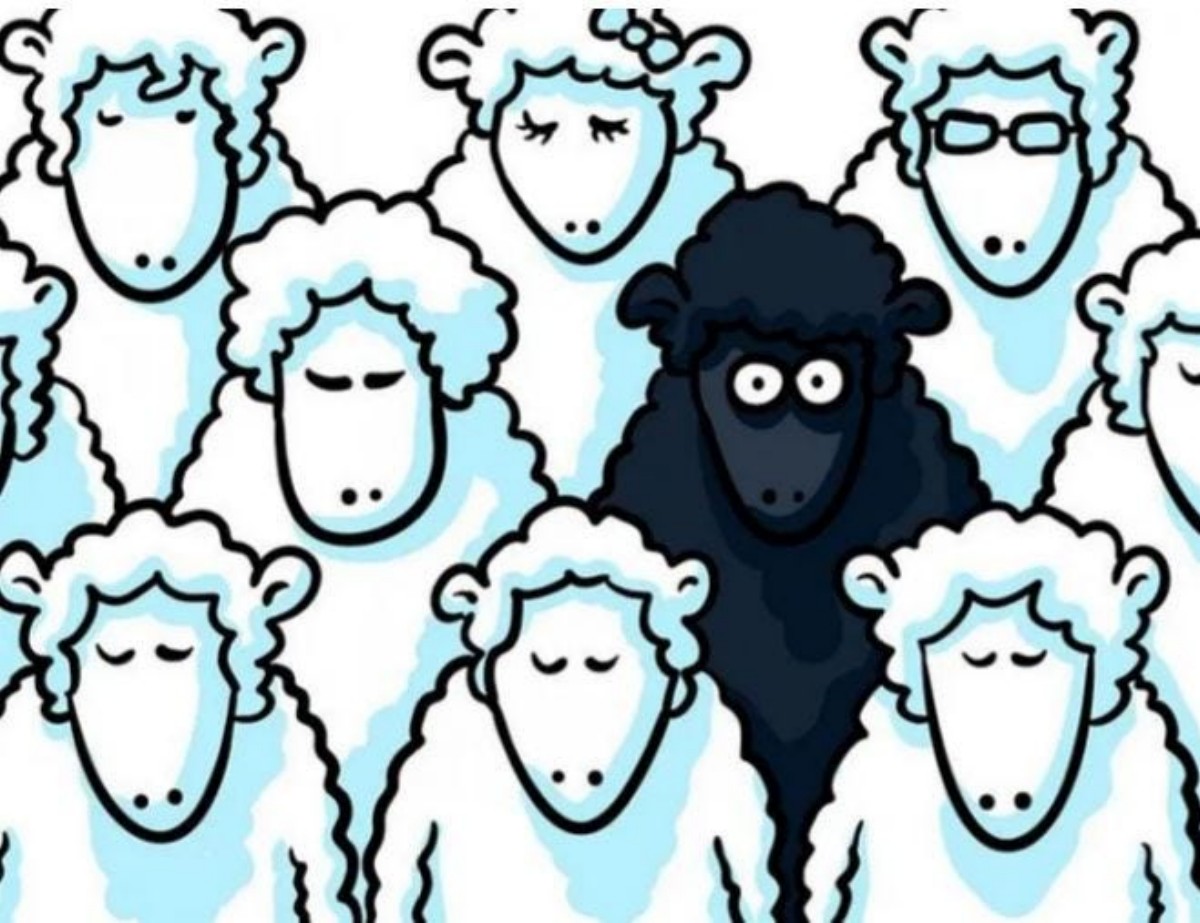 black_sheep