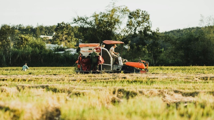Fertilizzanti alle stelle: agricoltori assediano l’Europa temendo il collasso