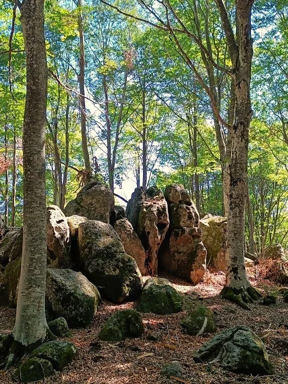 foto12